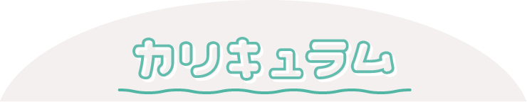 カリキュラム